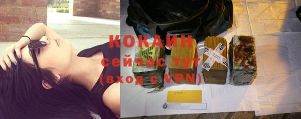 СК Семилуки